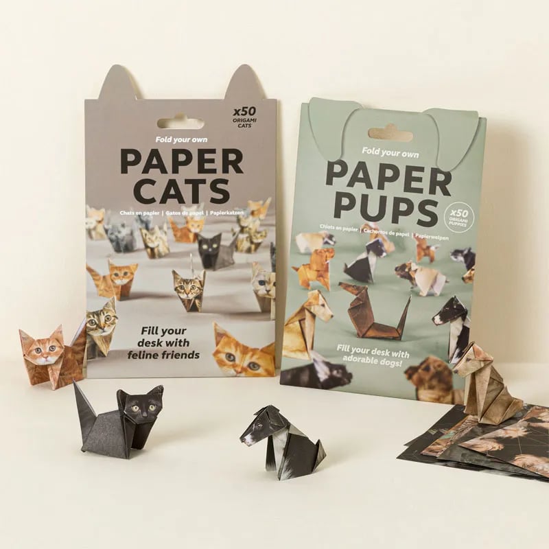 DIY Papierkatzen