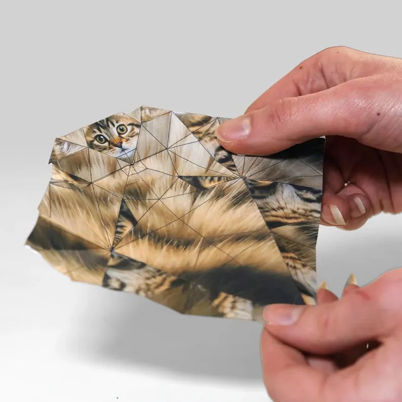 DIY Papierkatzen