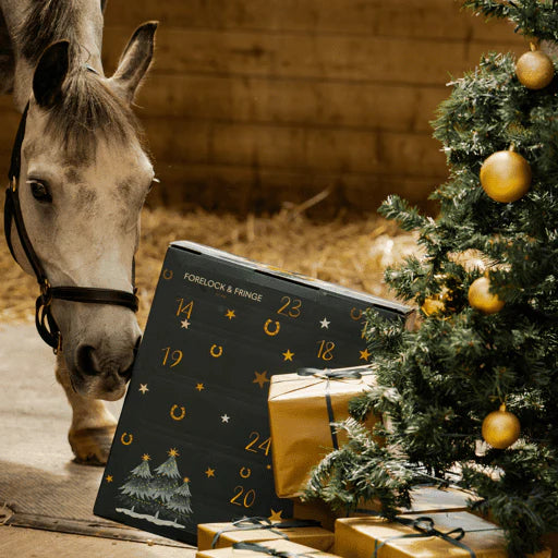 Adventskalender Für Pferde | 24 Überraschungen Für Lhr Pferd