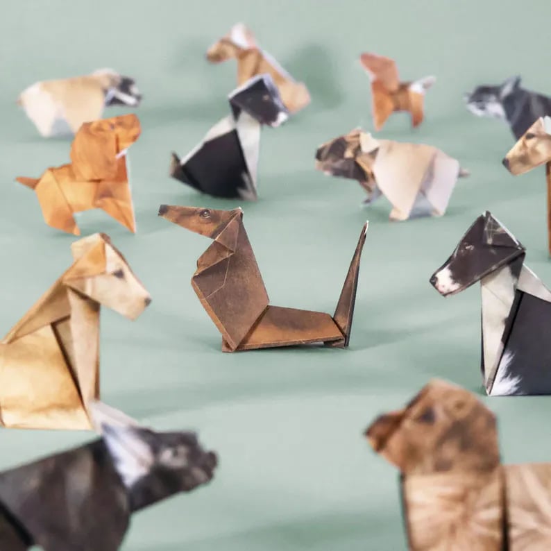 DIY Papierkatzen