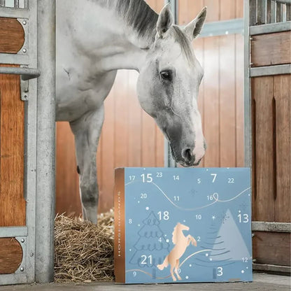 Adventskalender Für Pferde | 24 Überraschungen Für Lhr Pferd