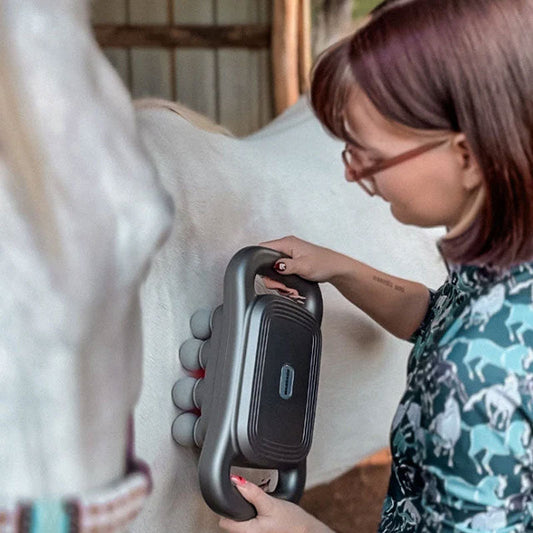 8-köpfige Massagepistole für Pferde