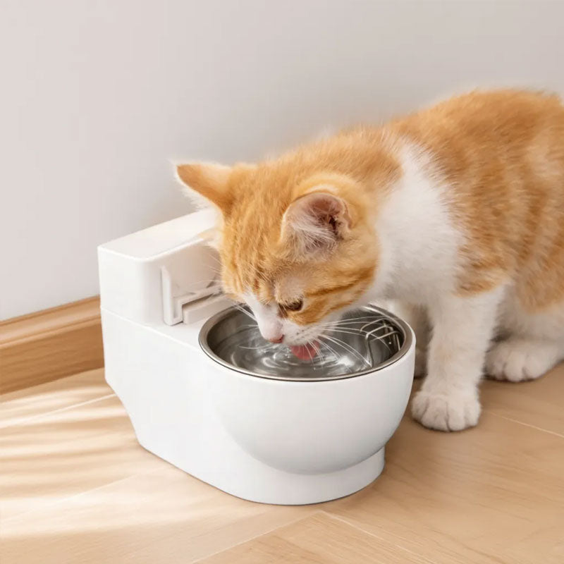 🚽🐾 Vattendispenser för husdjurstoalett