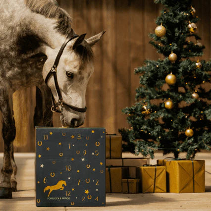 Adventskalender Für Pferde | 24 Überraschungen Für Lhr Pferd