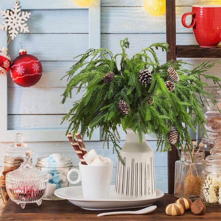 🎄Vorweihnachtliches Sonderangebot 49 % 🎄Norfolk Kiefer Zweigstelle